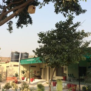 IMG-20181225-WA0203