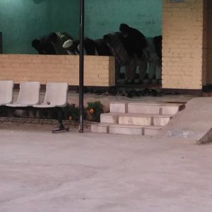 IMG_20181124_171839